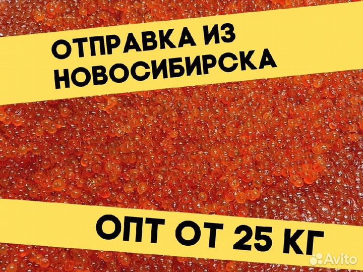 Икра нерки красная, улов 2023