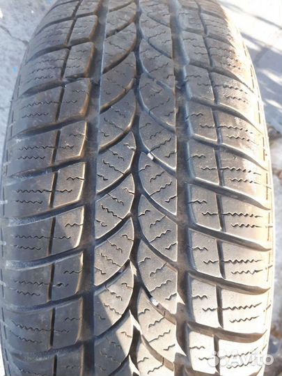 Accelera Accelera Summer 205/55 R16
