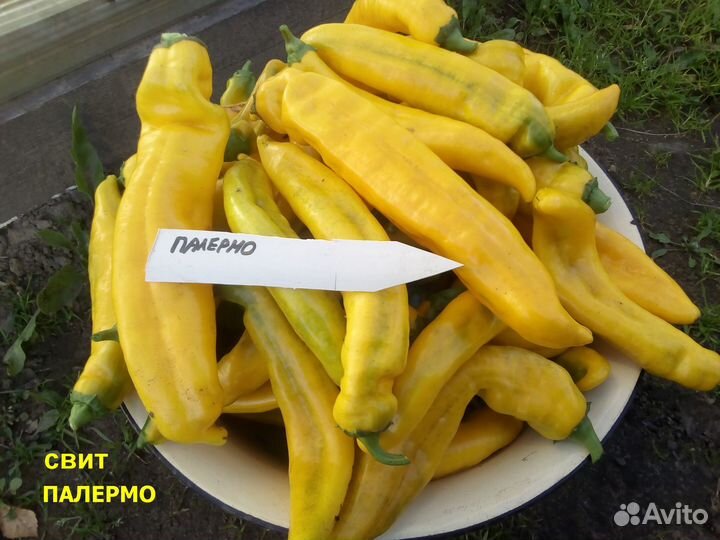 Семена самого сладкого в мире перца Свит Палермо
