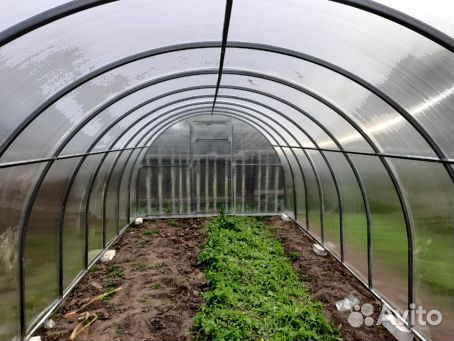 Теплица 3 на 6 из поликарбоната