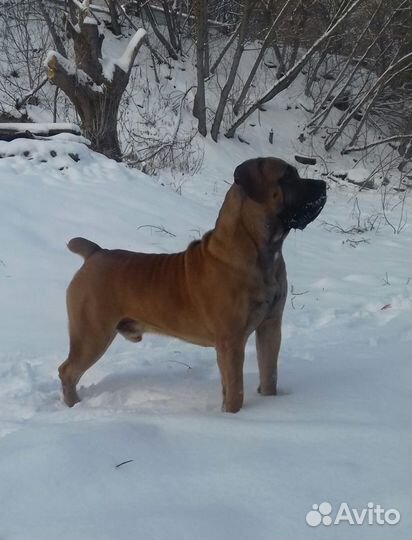 Бурбуль вязка