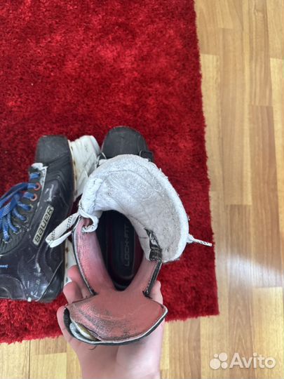 Коньки bauer vapor x900