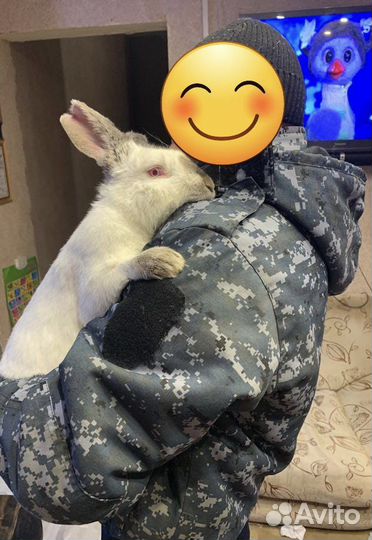 Продам кроликов