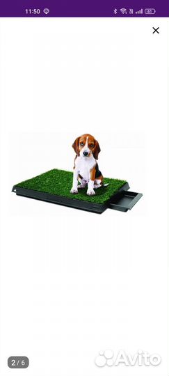 Лоток туалет для собак