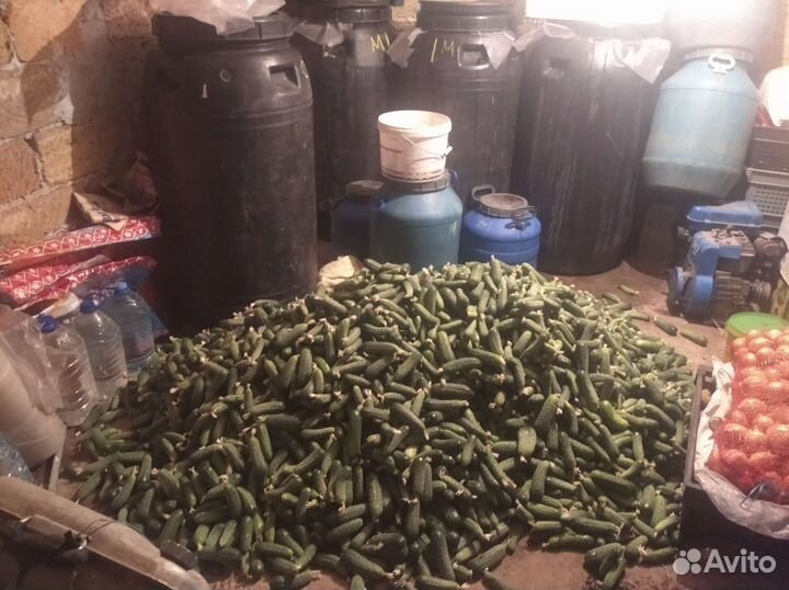 Продукты питания