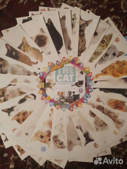 Мягкая игрушка