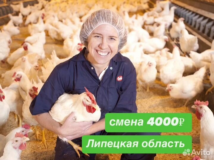 Вахта в Липецке разнорабочий/работа без опыта