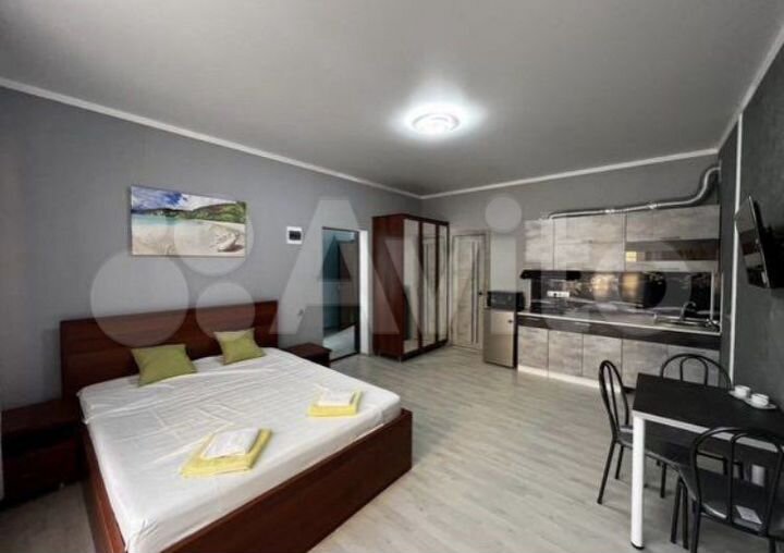 Домики на сириусе, на год без хозяев