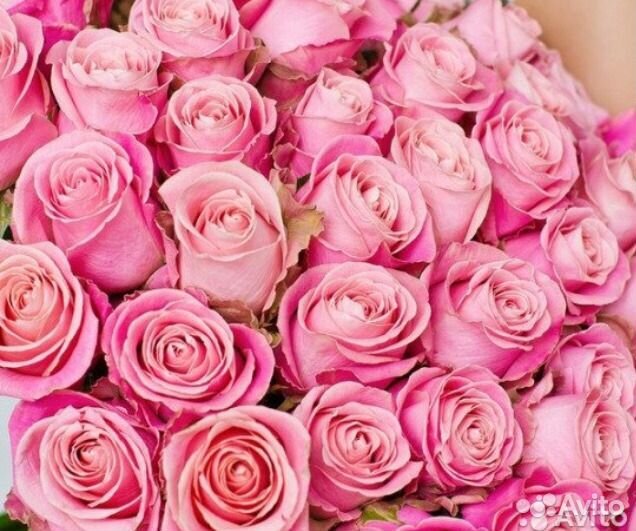 Розы roses розовая доставка моментальная
