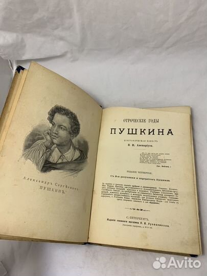 Авенариус В.П. Отроческие годы Пушкина. 1899