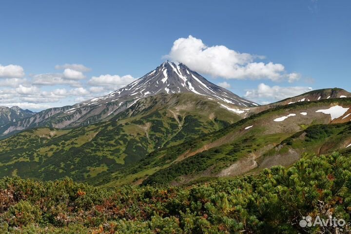 Тур на камчатку