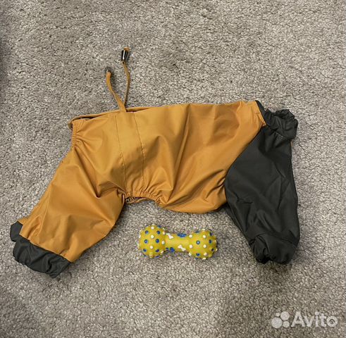 Дождевик для собак мелких пород