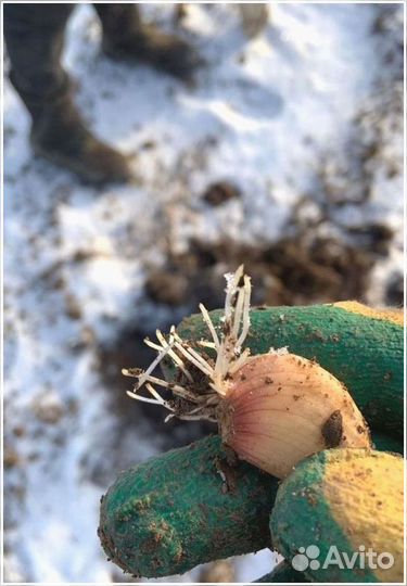 Инвестиции для развития бизнеса