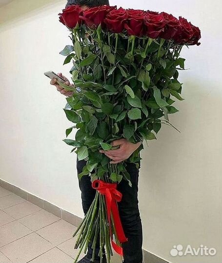 Высокие розы Гигантские розы 110