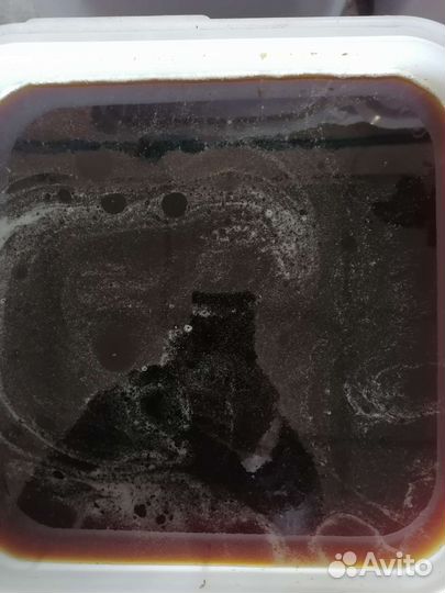 Алтайский целебный мёд