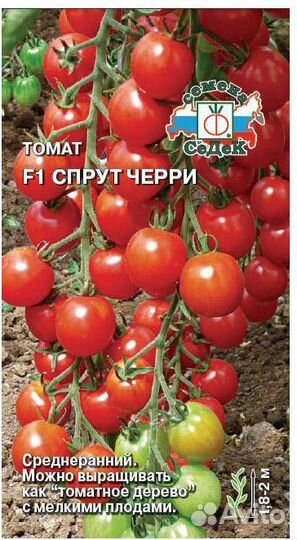 Рассада томатов разных сортов