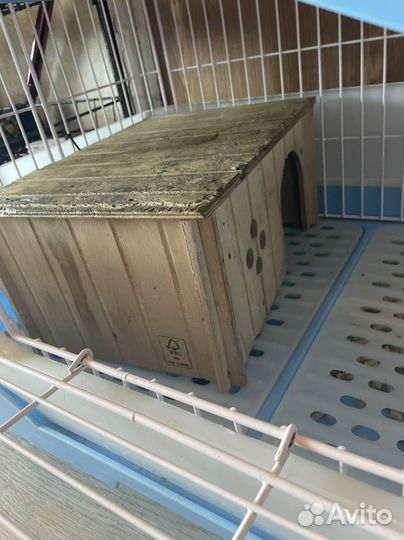 Клетка и хорек