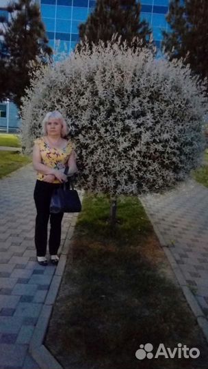 Мастер чистоты (уборщик)