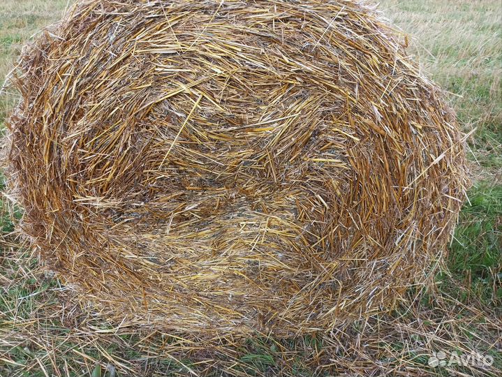 Солома в рулонах
