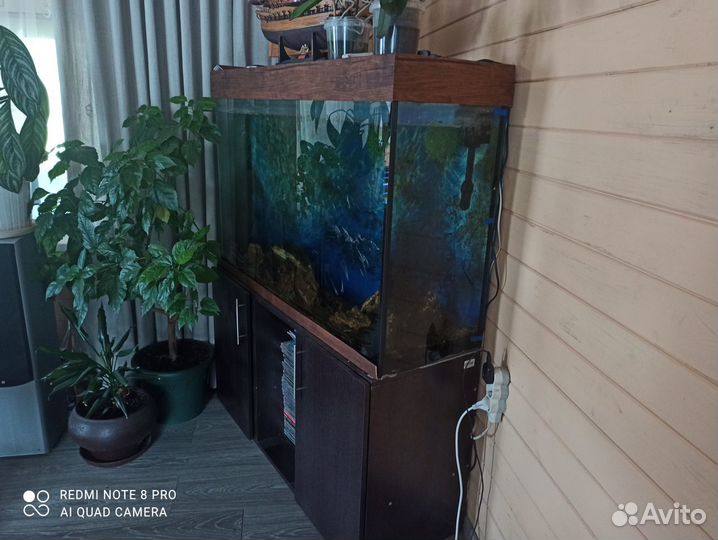 Аквариум с тумбой бу