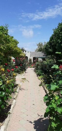 Дом 100 м² на участке 25 сот.