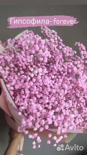 Букеты и коробки с гипсофилой