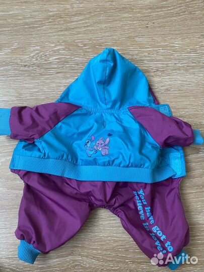 Осенний костюм на щенка