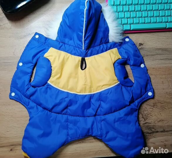 Комбинезон для мелких пород собак. Болонь утеплён