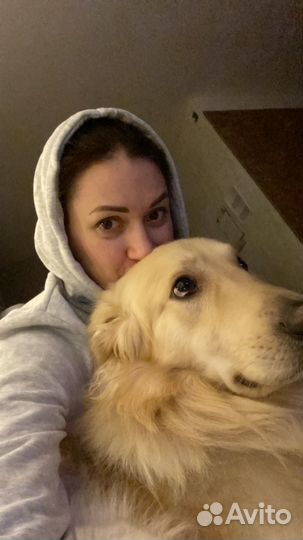 Передержка собак в домашних условиях