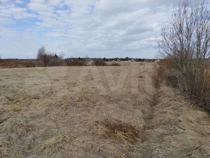 Участок 59,4 сот. (промназначения)