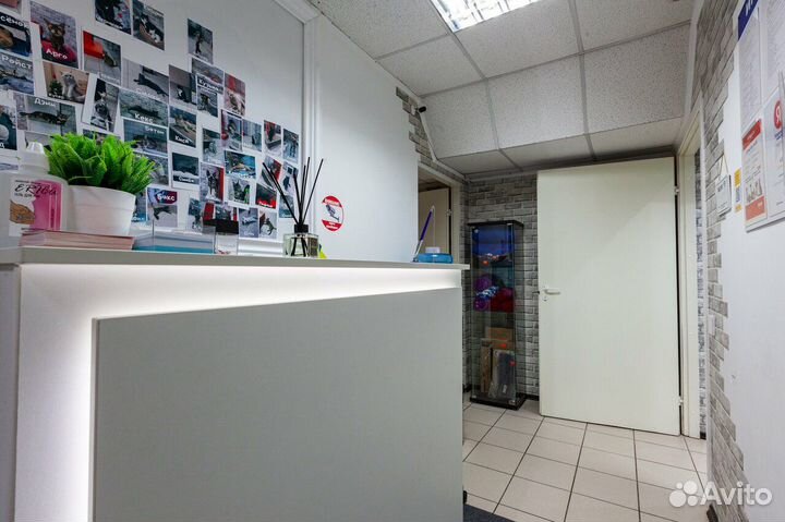 Зоогостиница, гостиница для животных, кошек