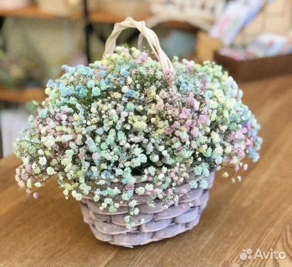 Гипсофила цветы букеты доставка