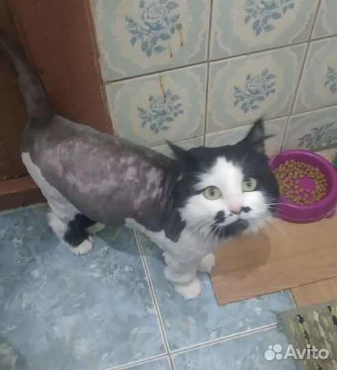 Черно белая душа
