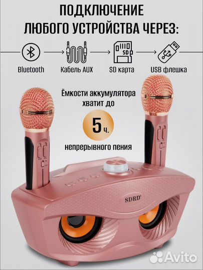 Караоке система с двумя беспроводными микрофонами