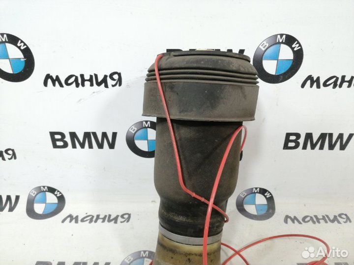 Пневмобаллон задний левый Bmw X5 E70 M57D30 2008