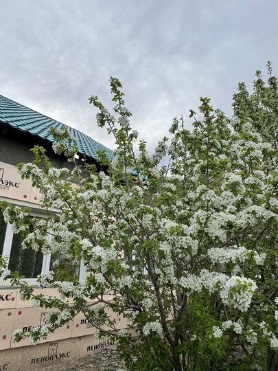 3-к. квартира, 117,8 м², 1/1 эт.