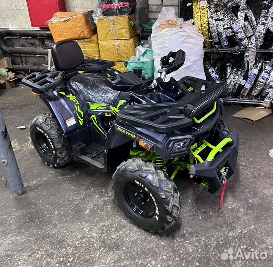 Квадроцикл Motoland wild track X 200