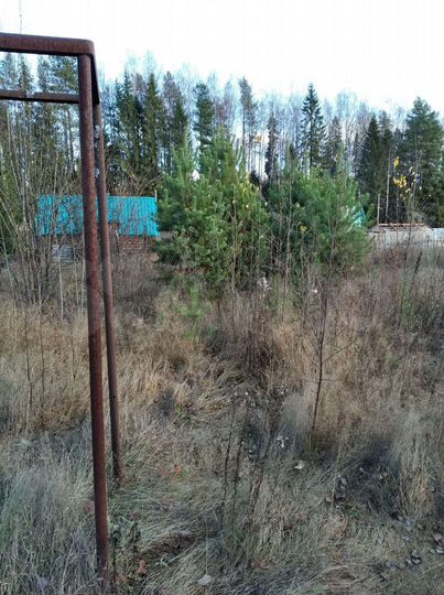 Участок 5 сот. (СНТ, ДНП)