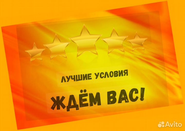 Оператор линии Еженедельный аванс М/Ж Спецодежда