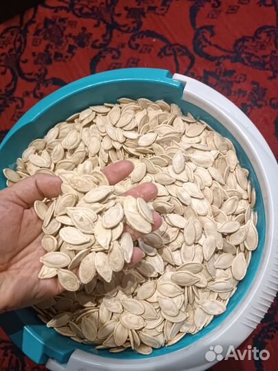 Картофель крупный домашний