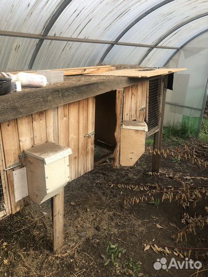 Клетка для кроликов с маточником