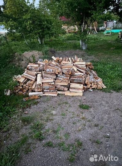 Дрова береза