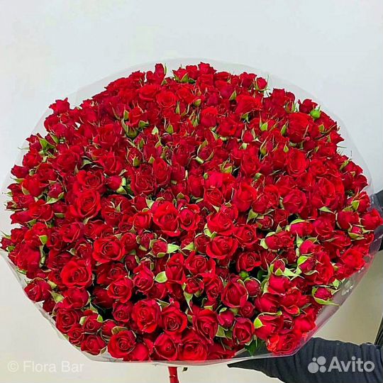 Кустовые Розы