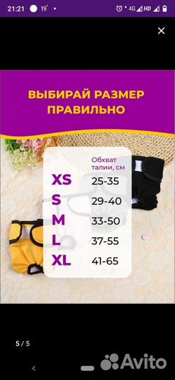 Трусы для собак