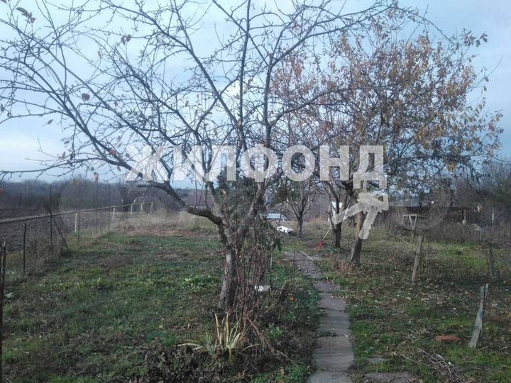 Дом 206 м² на участке 19,9 сот.