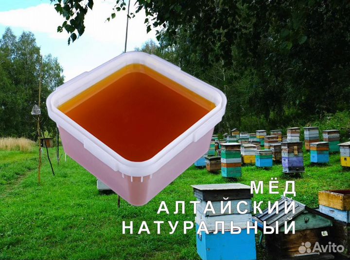 Мёд натуральный из Алтая оптом