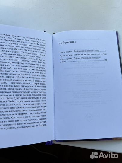 Книга Флейшман в беде