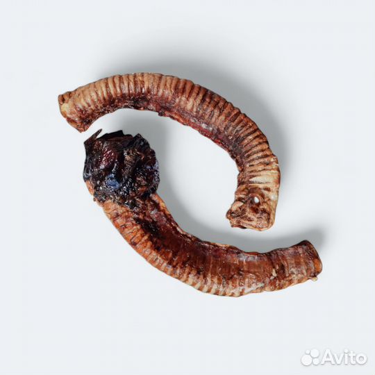 Носы свиные