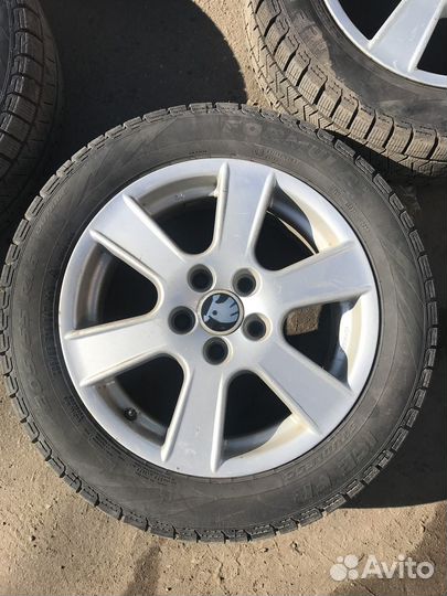 Formula Ice FR 205/55 R16