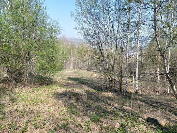 Участок 9 сот. (СНТ, ДНП)